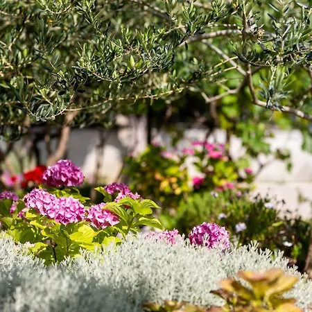 شقة Marija باشْكا